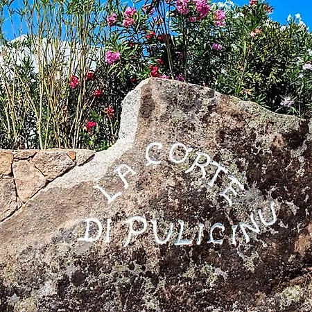 La Corte Di Pulicinu