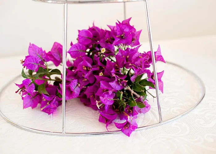 La Corte Di Pulicinu 4*